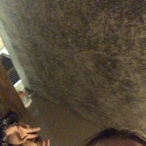 Meet your Posher, Brooklyn